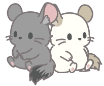 チラッとトーク図鑑@チラトーク